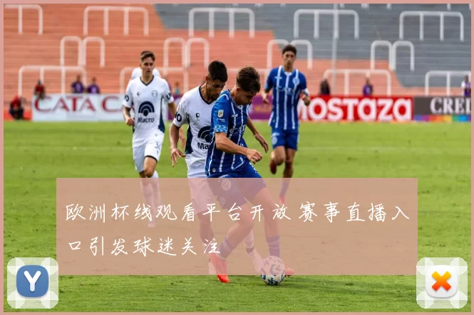 欧洲杯线观看平台开放 赛事直播入口引发球迷关注