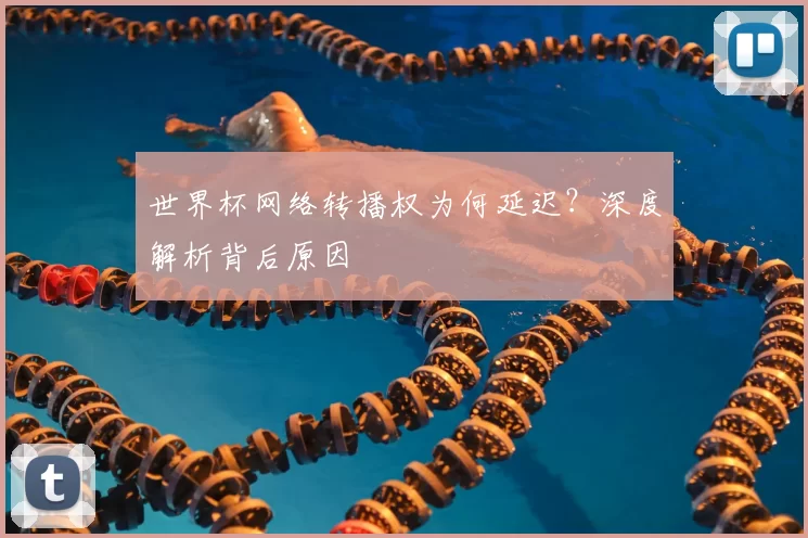 世界杯网络转播权为何延迟？深度解析背后原因