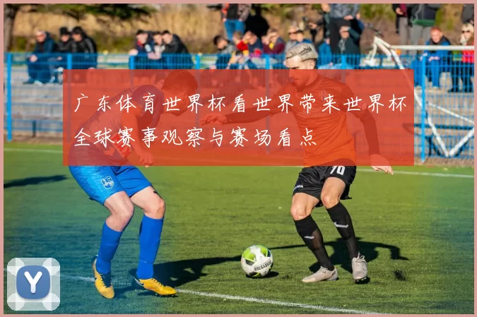 广东体育世界杯看世界带来世界杯全球赛事观察与赛场看点