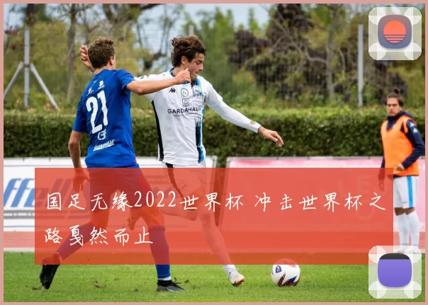 国足无缘2022世界杯 冲击世界杯之路戛然而止