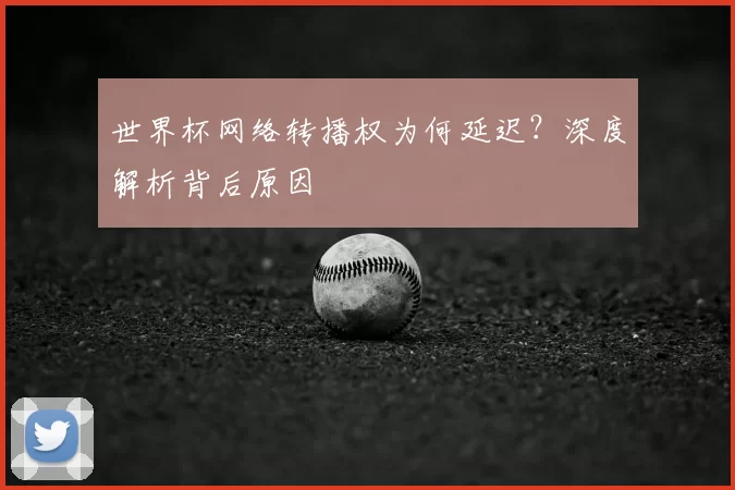 世界杯网络转播权为何延迟？深度解析背后原因