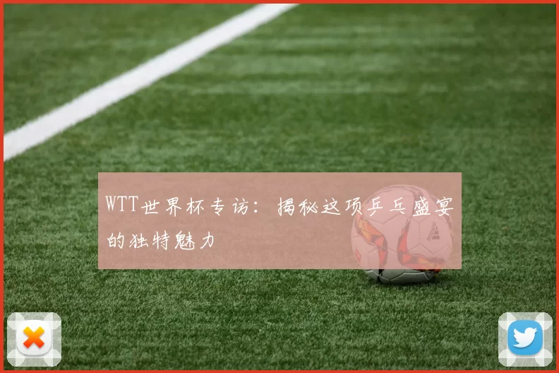WTT世界杯专访：揭秘这项乒乓盛宴的独特魅力