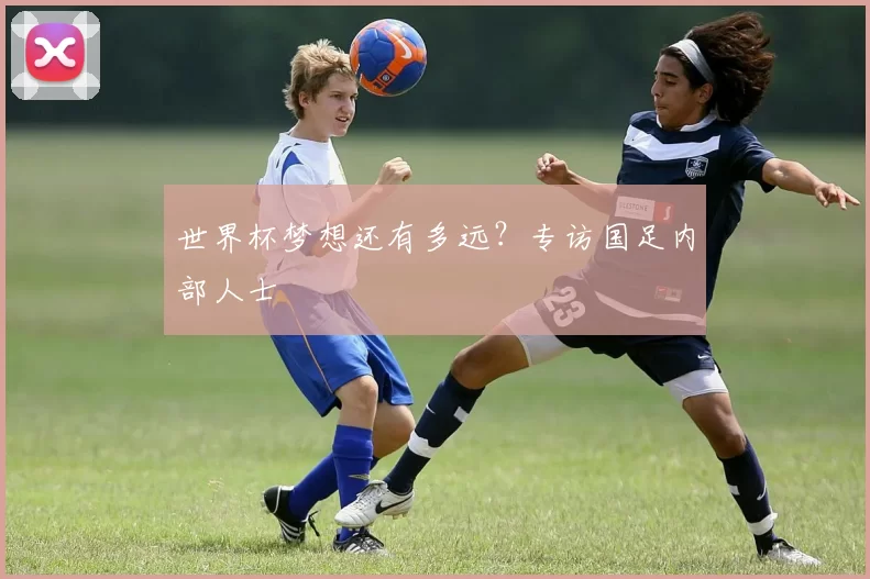 世界杯梦想还有多远？专访国足内部人士